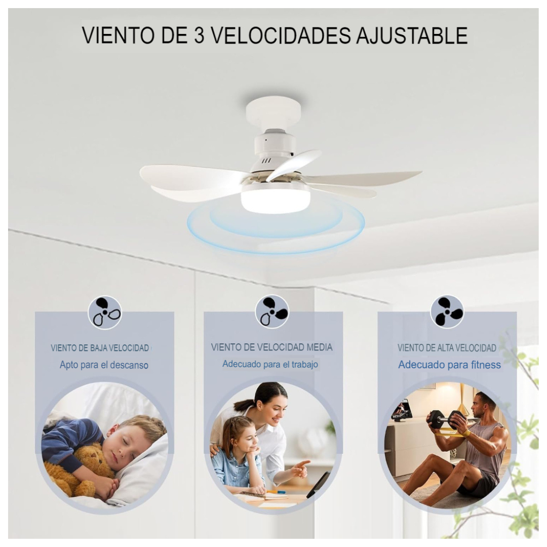 Ampolleta + Ventilador